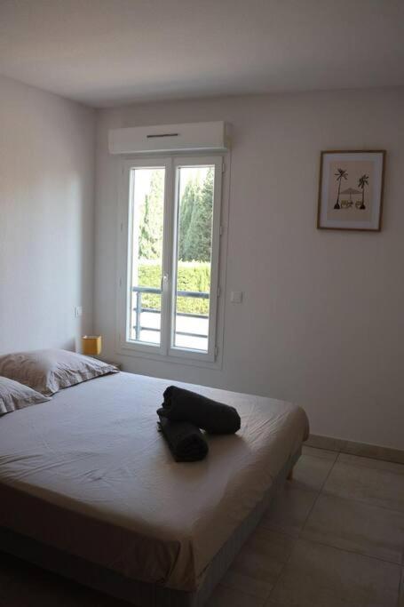 Suberbe Appartement Climatise Avec Terrasse Saint-Raphaël Kültér fotó