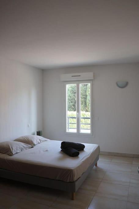 Suberbe Appartement Climatise Avec Terrasse Saint-Raphaël Kültér fotó